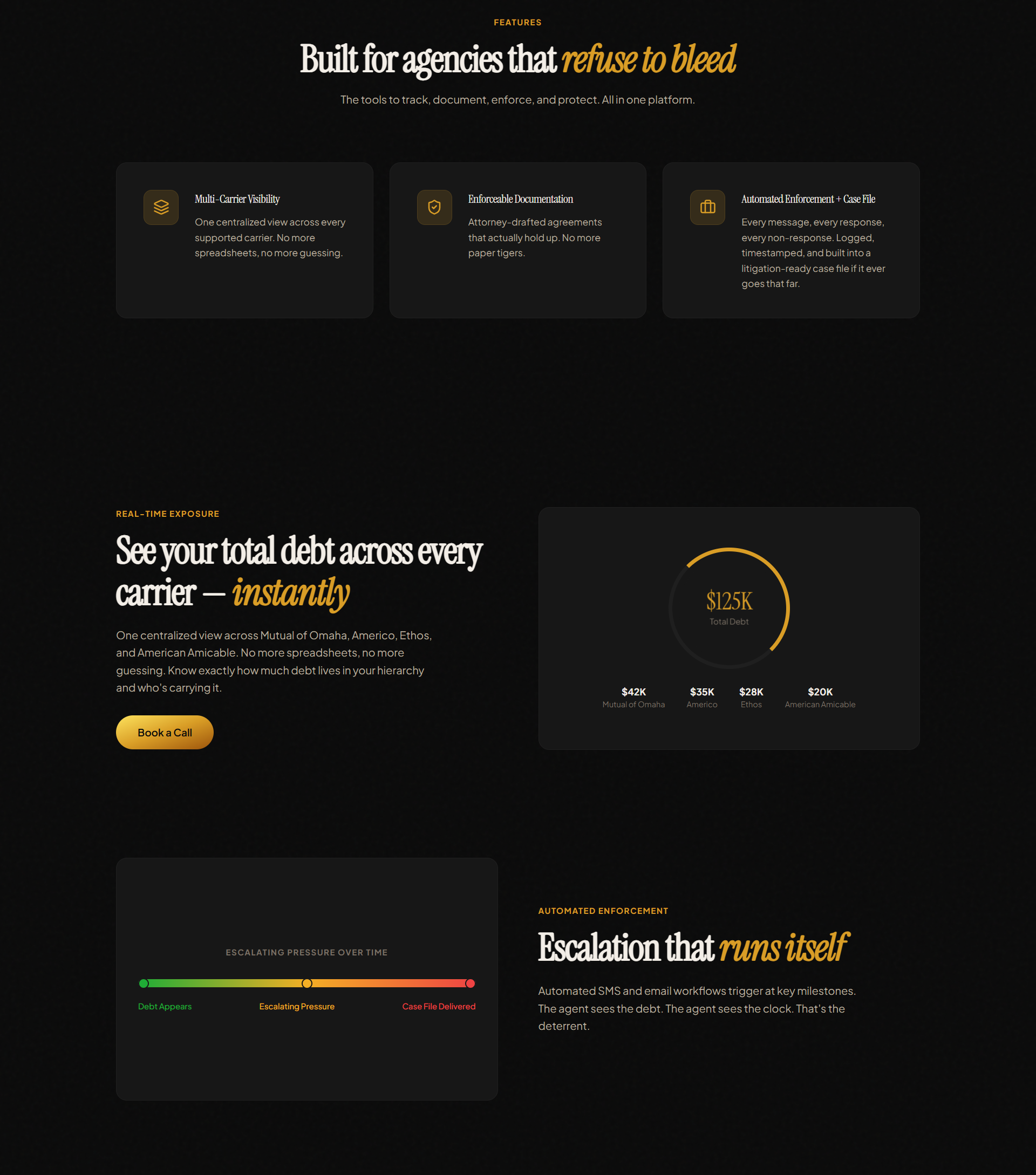 Debt Shield AI view 3